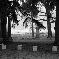 Landscape — Gourdneck Prairie Cemetery, Summer 2011