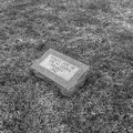 Gourdneck Prairie Cemetery #10