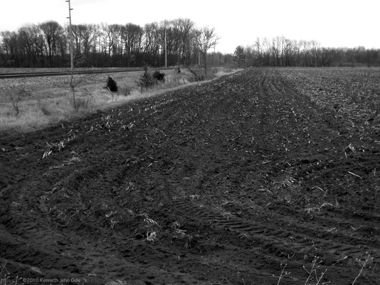Plowed Fields