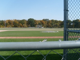 The view from the dugout(S7301555)