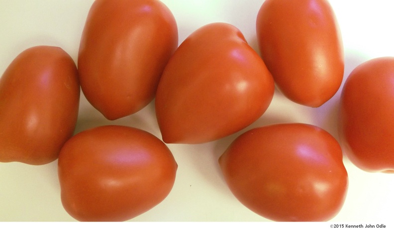 roma-tomatoes-002.jpg