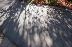 Path with shadows #2