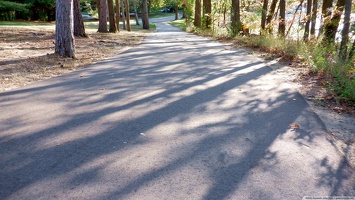 Path with shadows #4