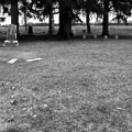 Gourdneck Prairie Cemetery #18