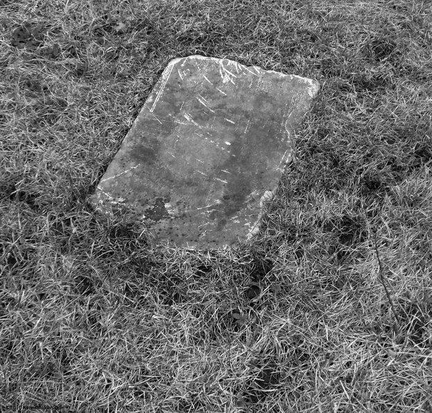 Gourdneck Prairie Cemetery #12