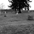 Gourdneck Prairie Cemetery #17