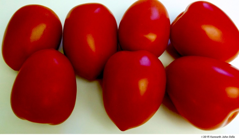roma-tomatoes-001.jpg