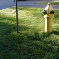 Fire hydrant and sign with light