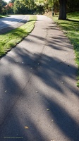 Path with shadows #1
