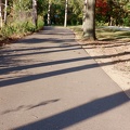 Path with shadows #3
