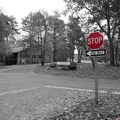 Stop Sign #1