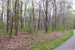 at the beginning 20260426