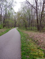 the runner 20260426