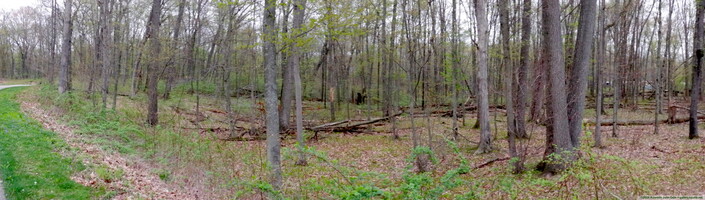 panorama #1
