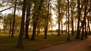 Landscape — Early morning walks (from phone) 